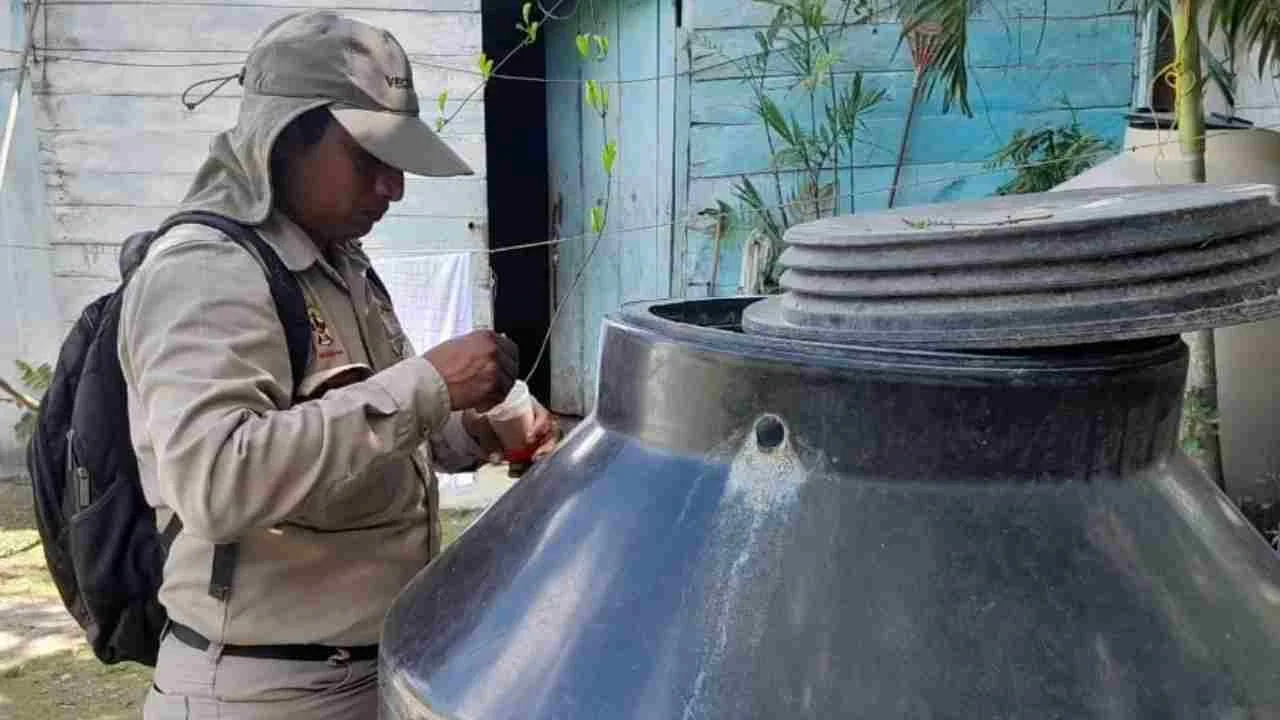 Campeche elimina 497 mil criaderos para combatir dengue 2024