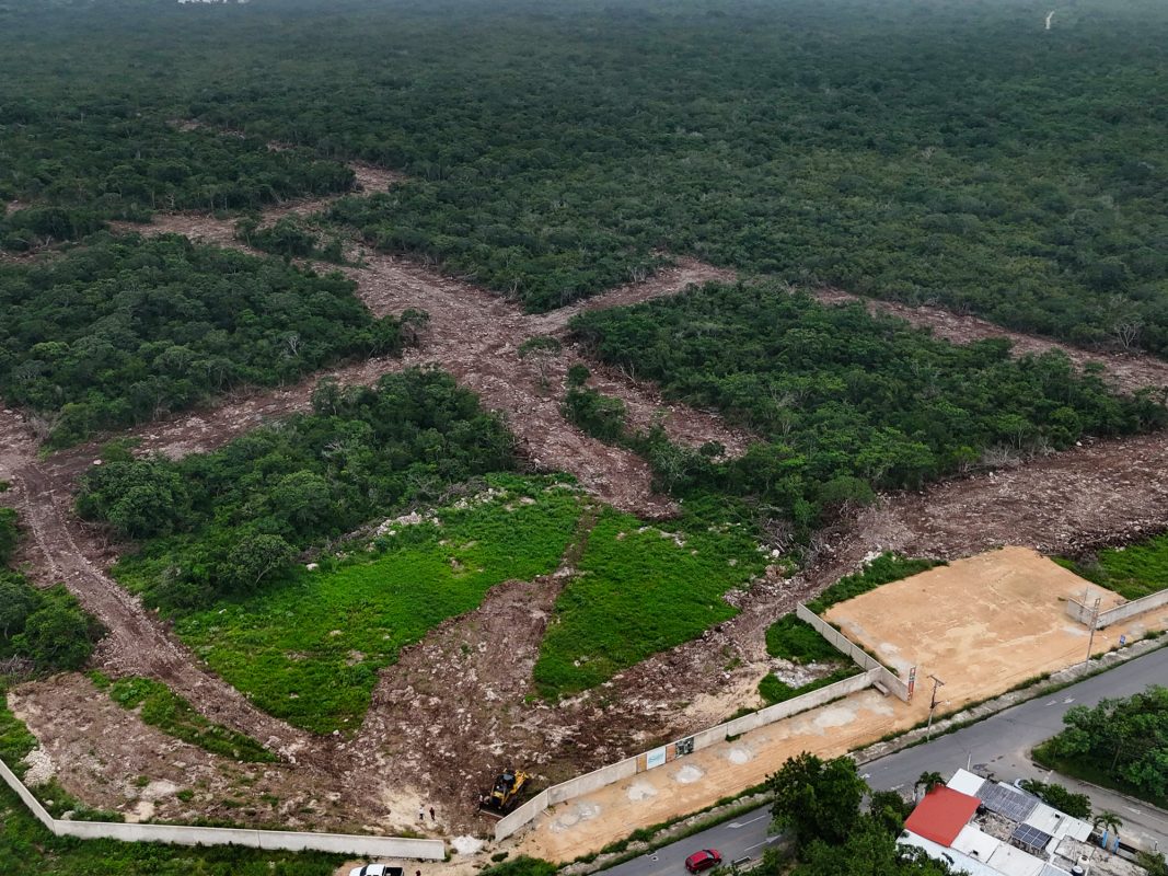 Profepa cierra obra en Xcunyá por daño ambiental significativo