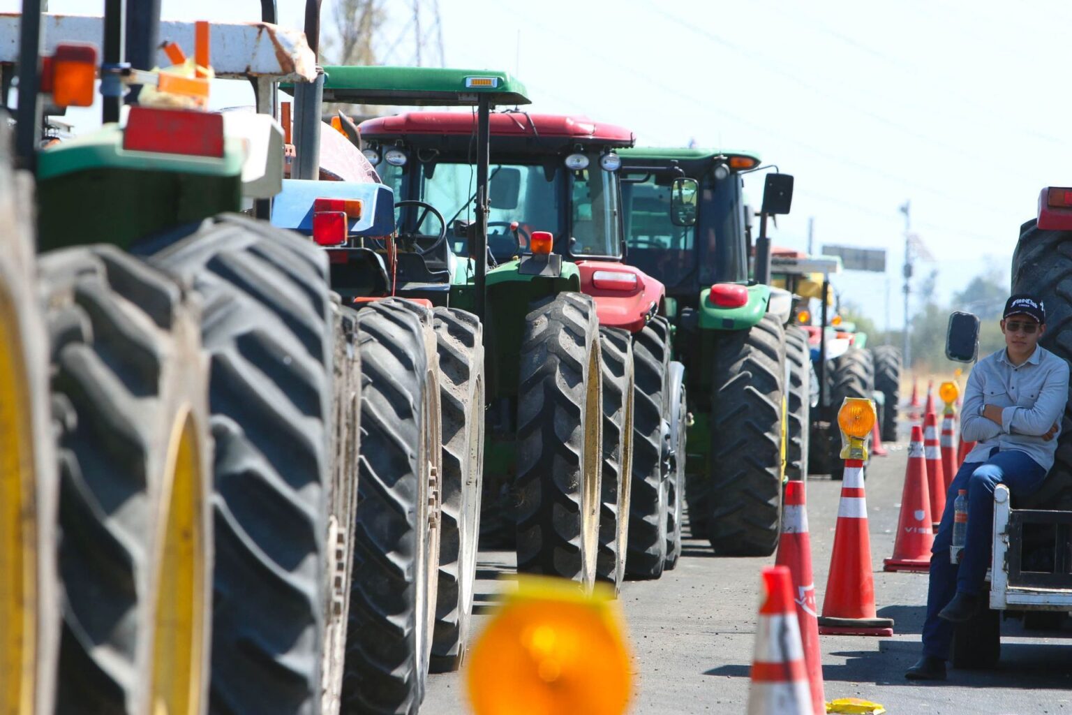 Productores de maíz y gobierno acuerdan precio de garantía en 2025