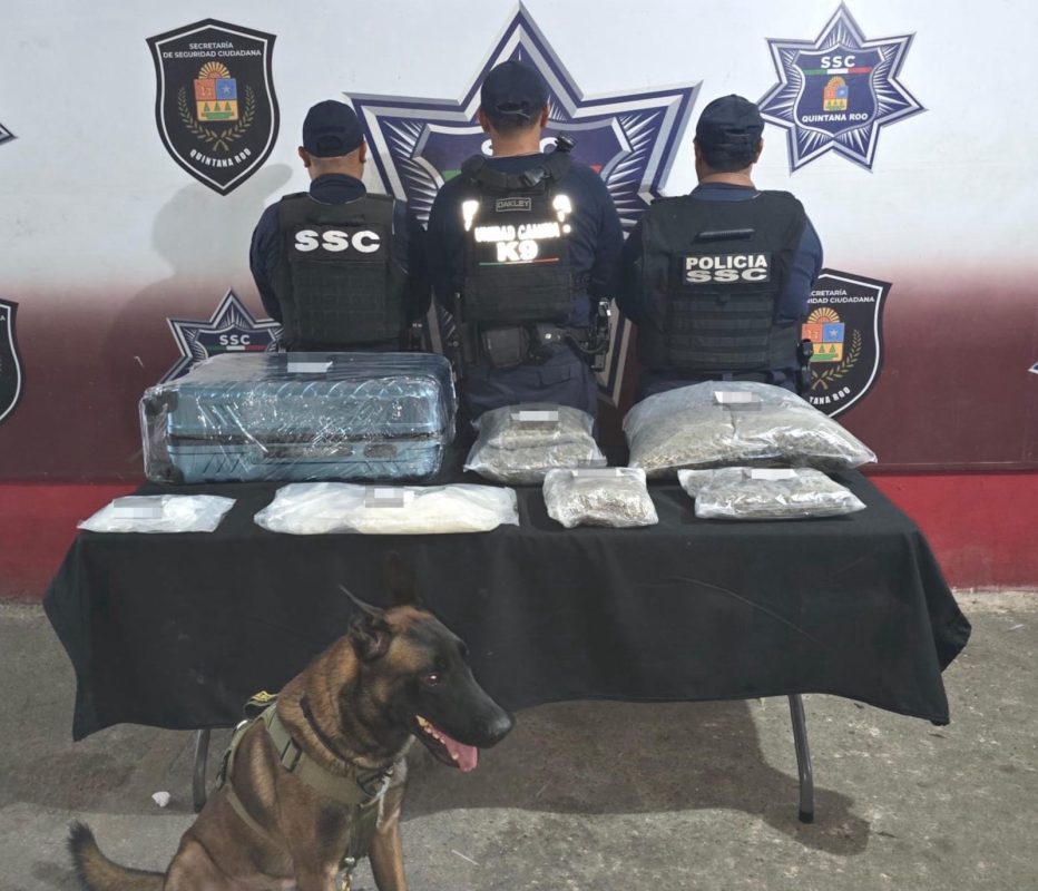 SSC Quintana Roo asegura droga en maleta detectada en terminal ADO