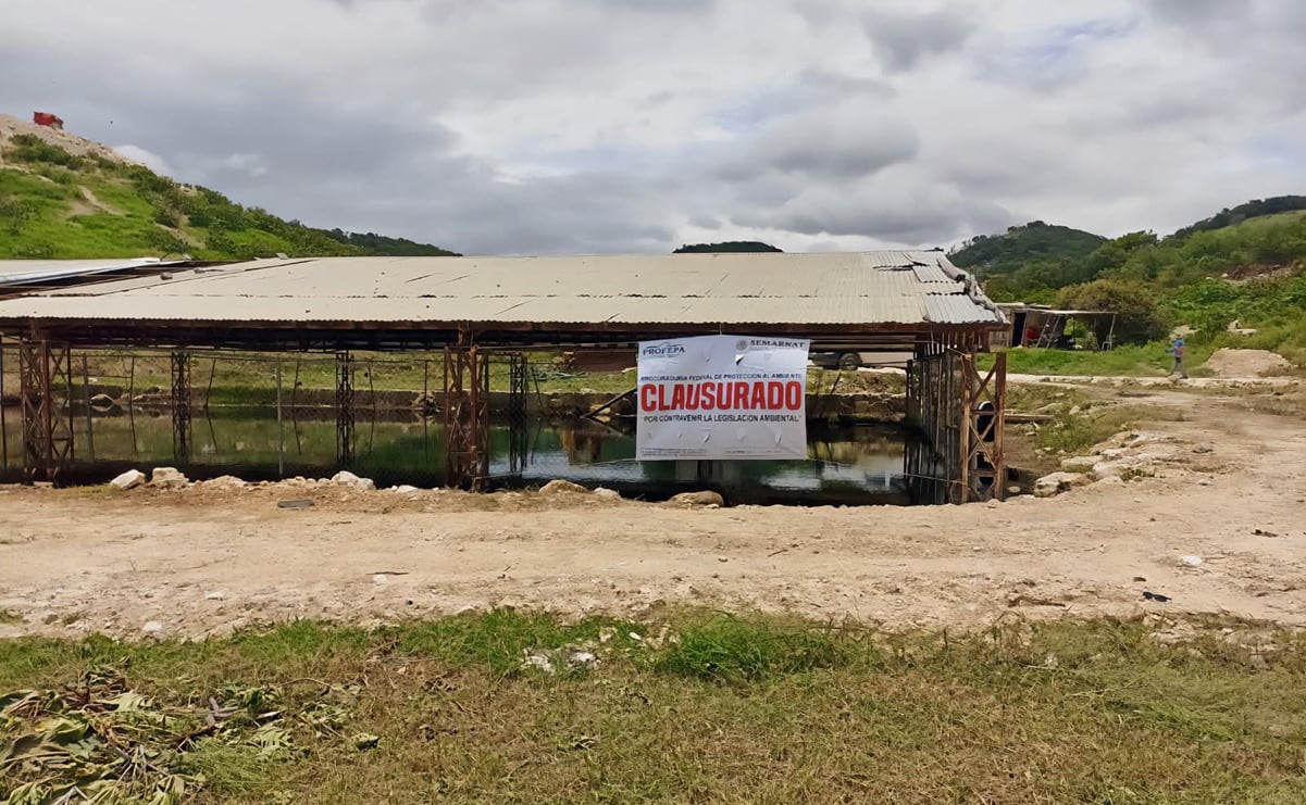 Profepa clausura laxante en Centro de Comitán por contaminación