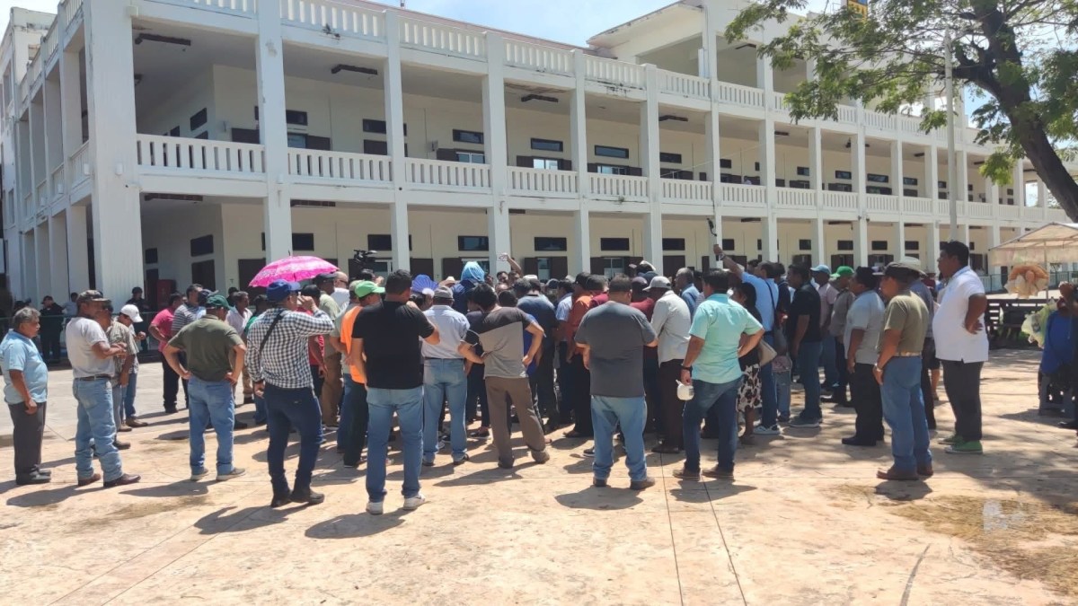 Cañeros piden apoyos extraordinarios en Quintana Roo