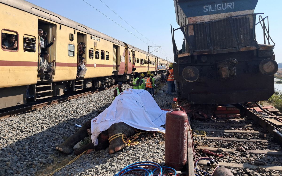 Tren de alta velocidad mata siete elefantes en India