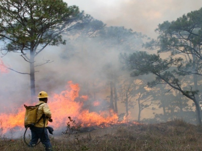Incendio en Chiapas consume 380 hectáreas cerca de reserva natural