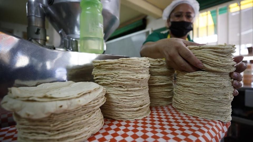 Tortilla podría rebasar los $32 pesos en Quintana Roo en 2026
