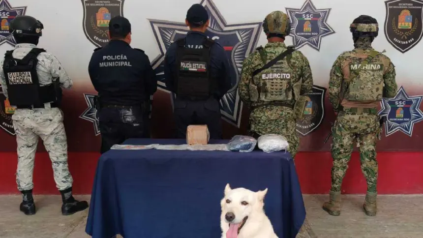 Hallan mochila con narcóticos en terminal de autobuses de Chetumal