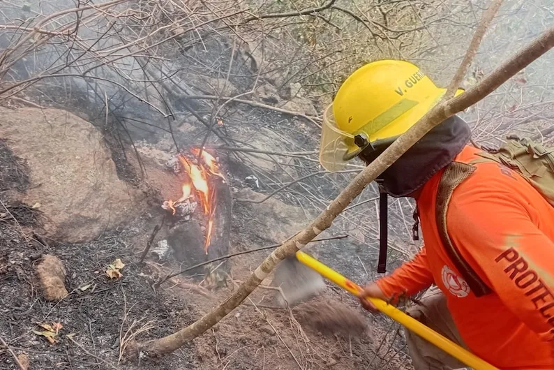 Incendio forestal en La Sepultura devasta 720 hectáreas