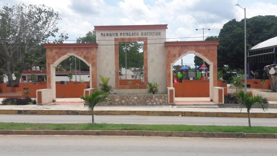 Once animales muertos en Dziuché por posible envenenamiento